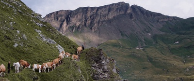 Filmstill "Alpenland"
